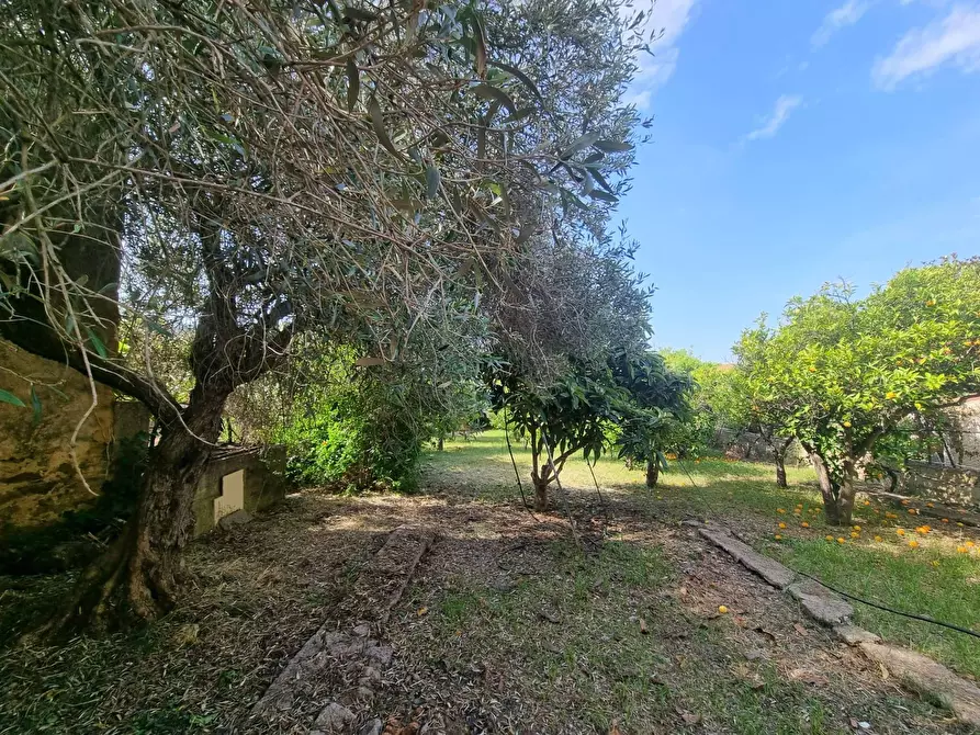 Immagine 16 di Casa indipendente in vendita  in Via San Pietro a Gonnesa