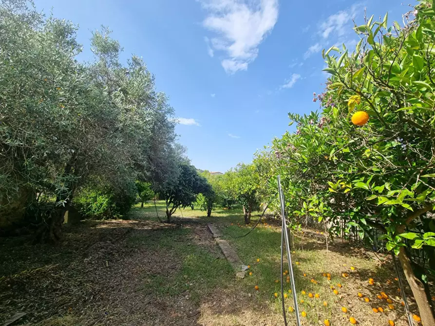 Immagine 17 di Casa indipendente in vendita  in Via San Pietro a Gonnesa