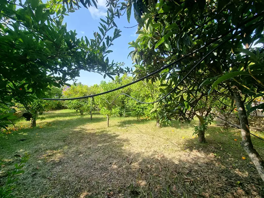 Immagine 19 di Casa indipendente in vendita  in Via San Pietro a Gonnesa