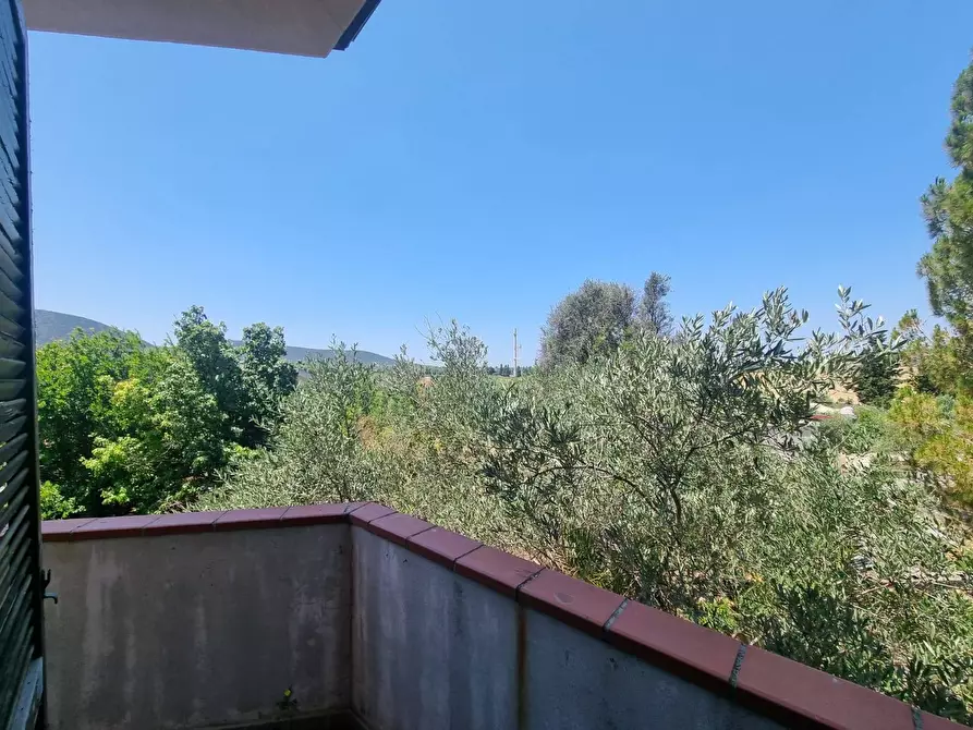 Immagine 8 di Appartamento in vendita  in Via S'Olivariu a Gonnesa