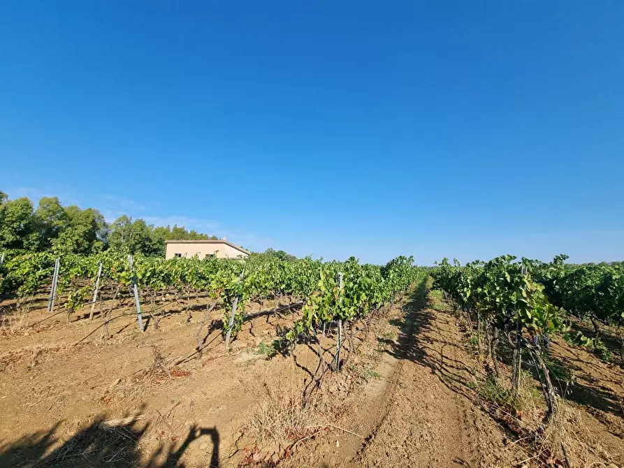 Immagine 1 di Terreno agricolo in vendita  in Località Is Murronis a Gonnesa