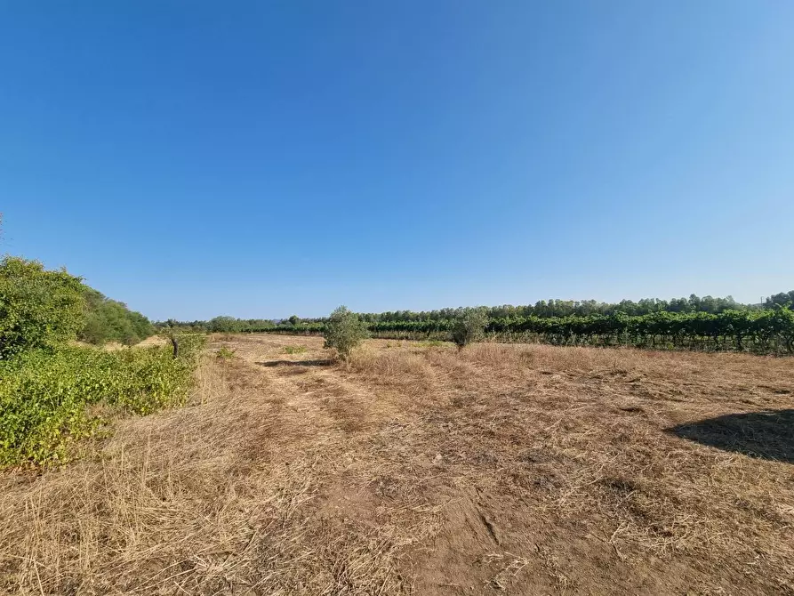 Immagine 3 di Terreno agricolo in vendita  in Località Is Murronis a Gonnesa