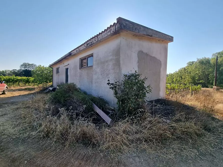 Immagine 6 di Terreno agricolo in vendita  in Località Is Murronis a Gonnesa