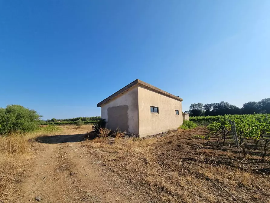 Immagine 8 di Terreno agricolo in vendita  in Località Is Murronis a Gonnesa