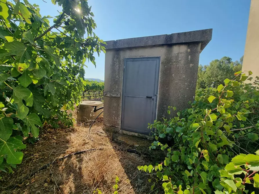 Immagine 9 di Terreno agricolo in vendita  in Località Is Murronis a Gonnesa