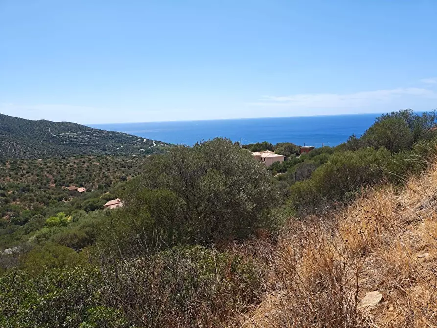 Immagine 12 di Terreno residenziale in vendita  in Via Dei Carrubi a Quartu Sant'elena