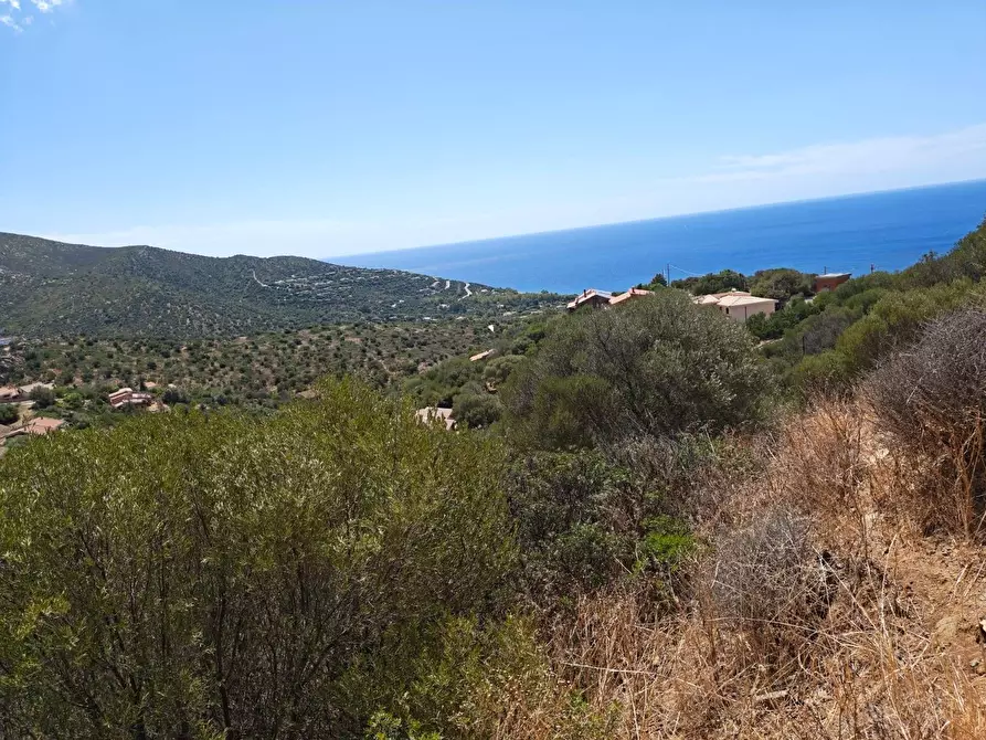Immagine 13 di Terreno residenziale in vendita  in Via Dei Carrubi a Quartu Sant'elena