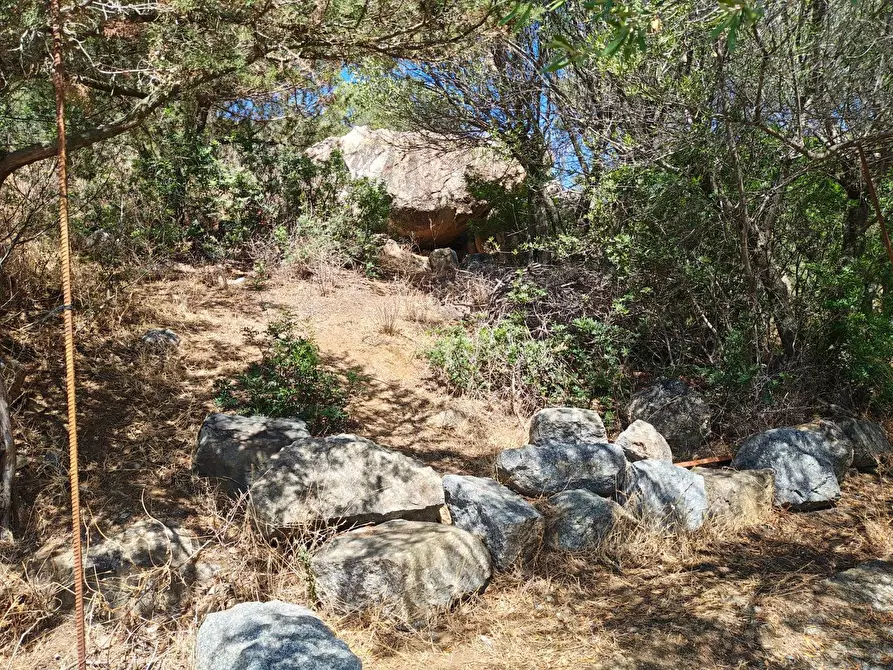 Immagine 15 di Terreno residenziale in vendita  in Via Dei Carrubi a Quartu Sant'elena