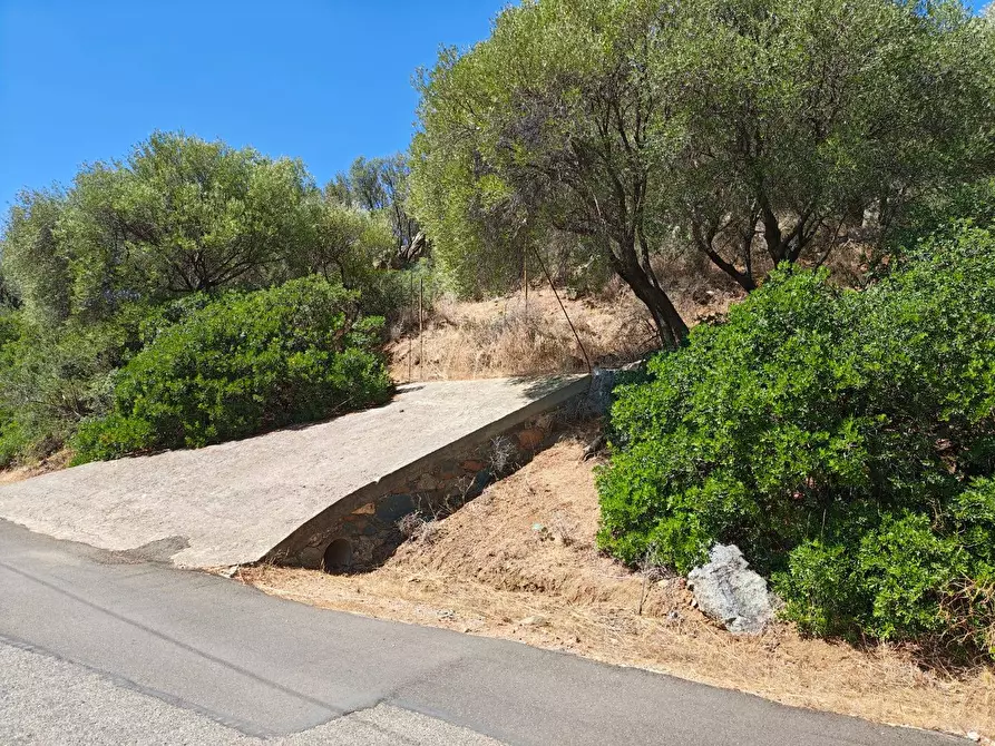Immagine 16 di Terreno residenziale in vendita  in Via Dei Carrubi a Quartu Sant'elena
