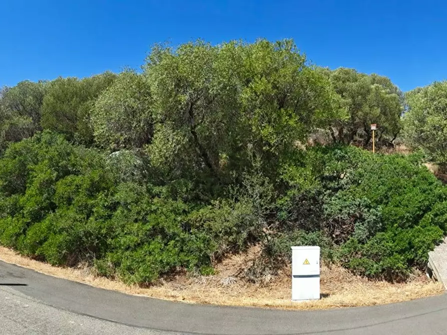 Immagine 17 di Terreno residenziale in vendita  in Via Dei Carrubi a Quartu Sant'elena