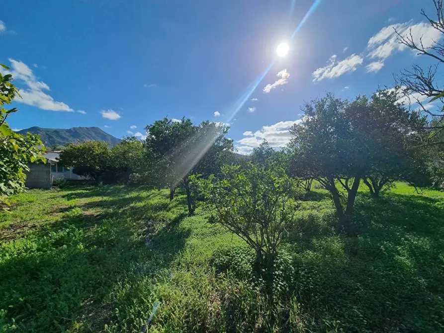 Immagine 14 di Casa indipendente in vendita  in Via Grazia Deledda a Gonnesa