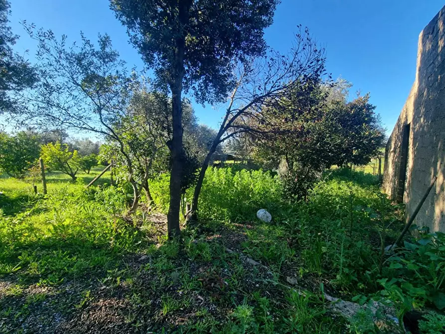 Immagine 16 di Casa indipendente in vendita  in Via della Libertà snc a Gonnesa