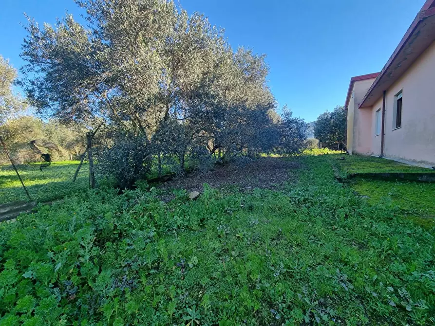 Immagine 20 di Casa indipendente in vendita  in Via della Libertà snc a Gonnesa