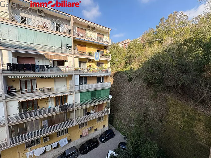 Immagine 24 di Appartamento in vendita  in Via Consalvo a Napoli