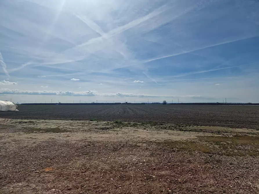 Immagine 29 di Rustico / casale in vendita  in Battisti 3 a Voghiera