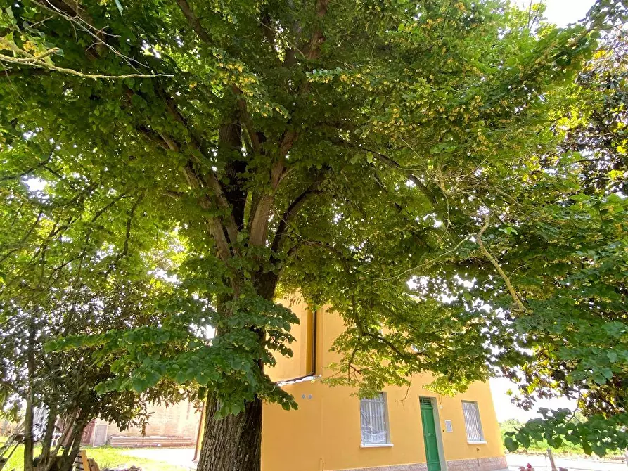 Immagine 23 di Villa in vendita  in Via Canalazzi 167 a Ferrara