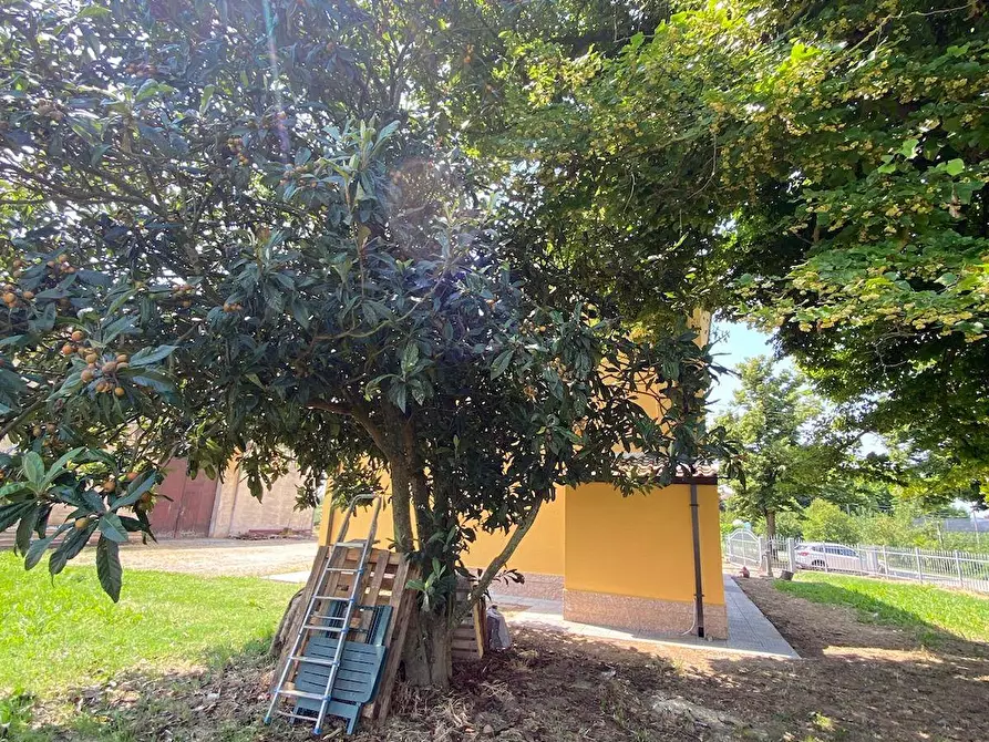 Immagine 25 di Villa in vendita  in Via Canalazzi 167 a Ferrara