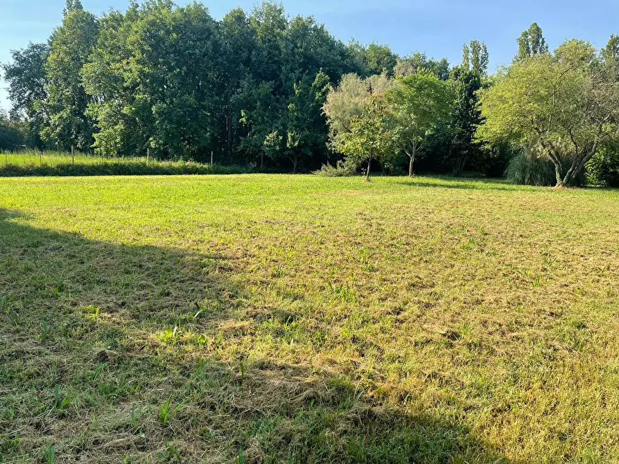 Immagine 11 di Rustico / casale in vendita  in via stradelle a Copparo