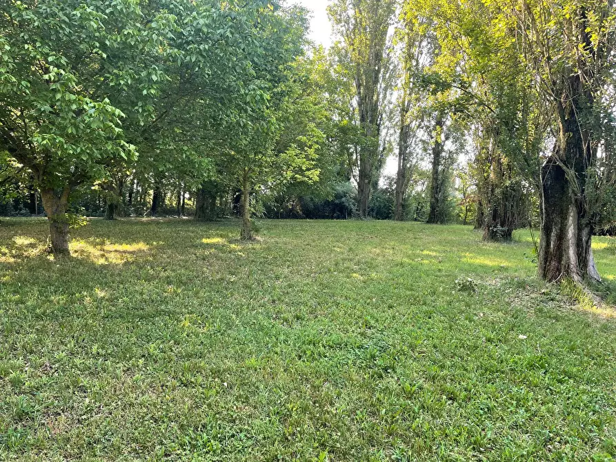 Immagine 15 di Rustico / casale in vendita  in via stradelle a Copparo