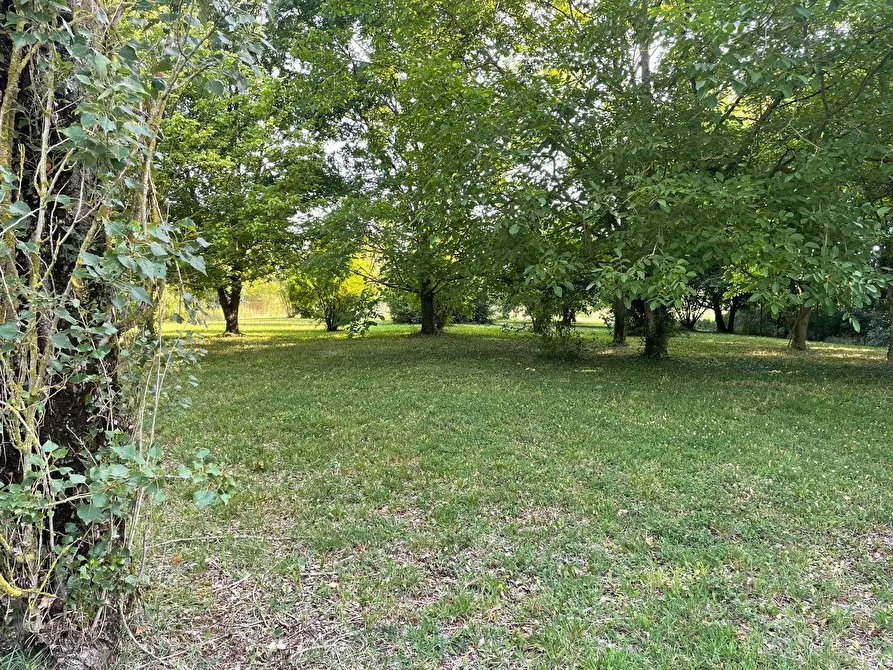 Immagine 17 di Rustico / casale in vendita  in via stradelle a Copparo