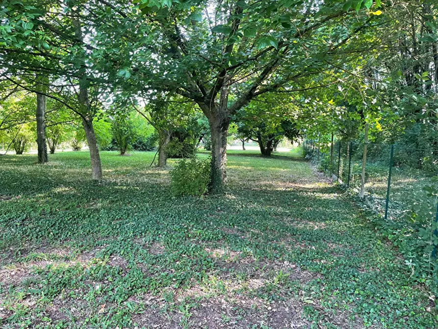 Immagine 19 di Rustico / casale in vendita  in via stradelle a Copparo