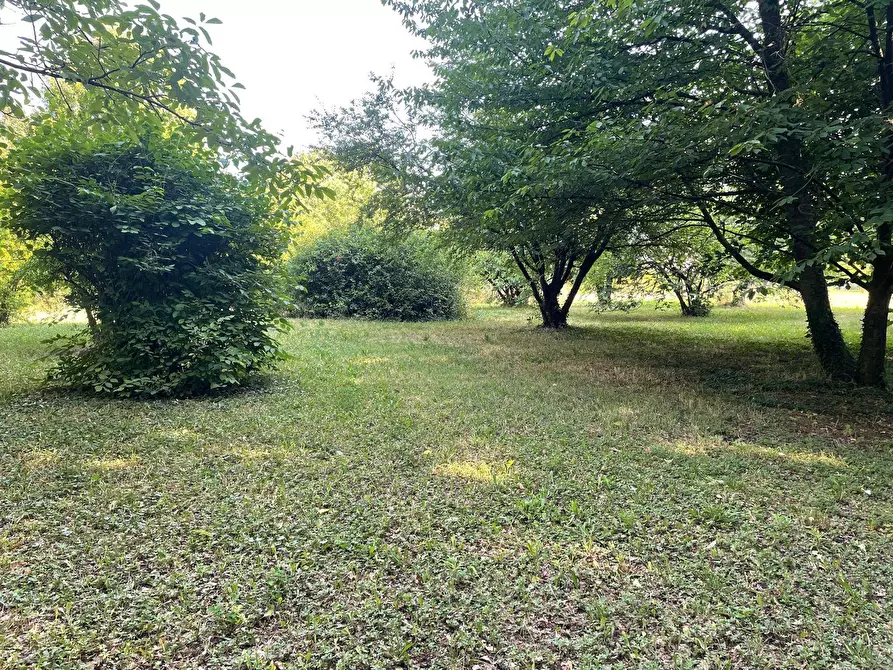 Immagine 20 di Rustico / casale in vendita  in via stradelle a Copparo