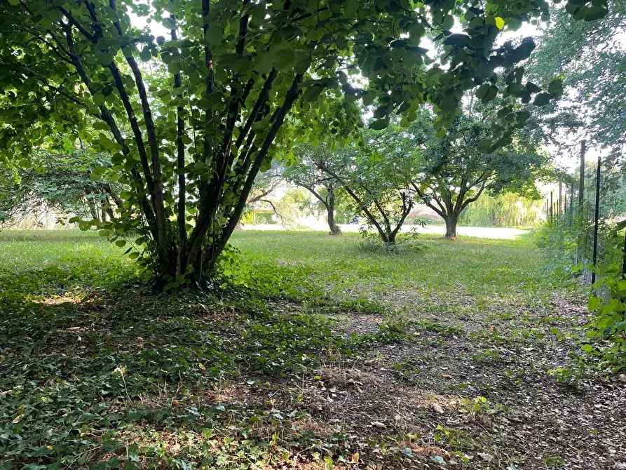 Immagine 21 di Rustico / casale in vendita  in via stradelle a Copparo