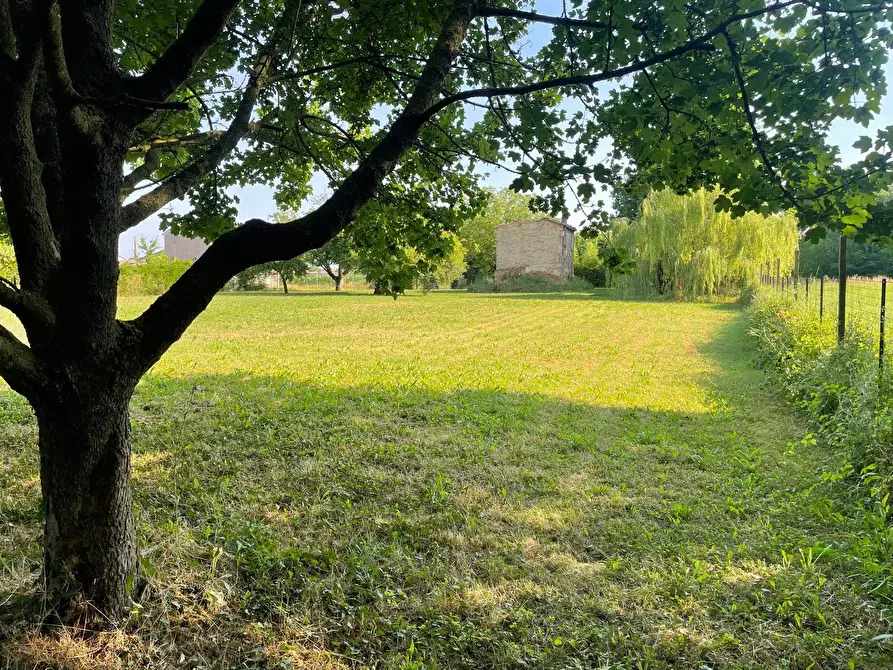 Immagine 22 di Rustico / casale in vendita  in via stradelle a Copparo