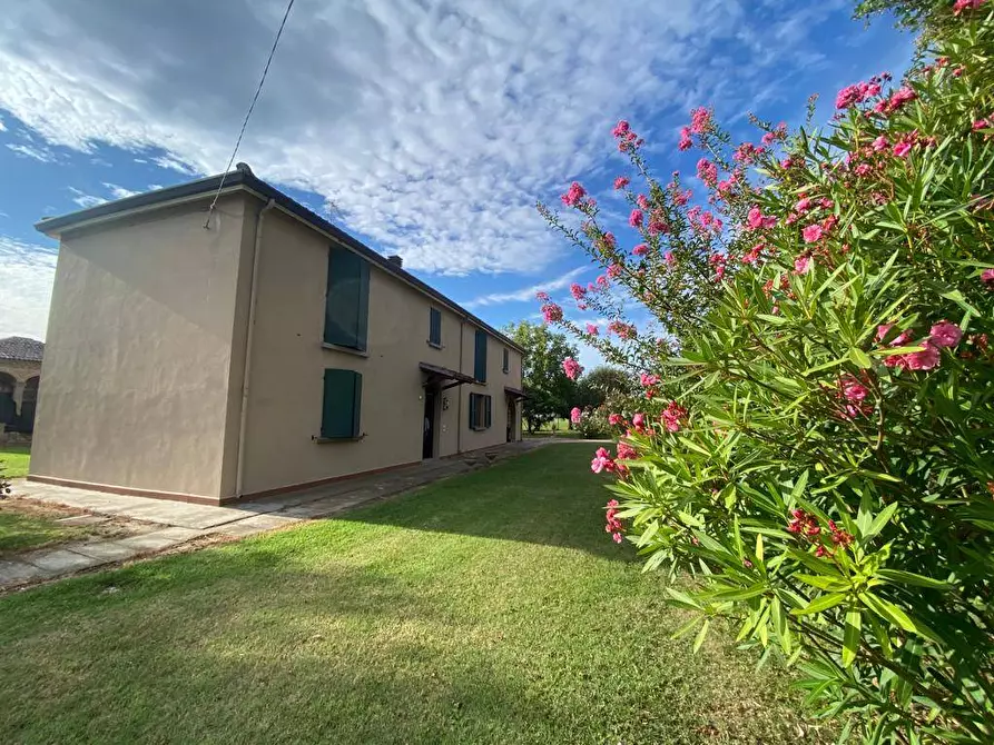 Immagine 2 di Villa in vendita  in via Gresolo 13 a Argenta