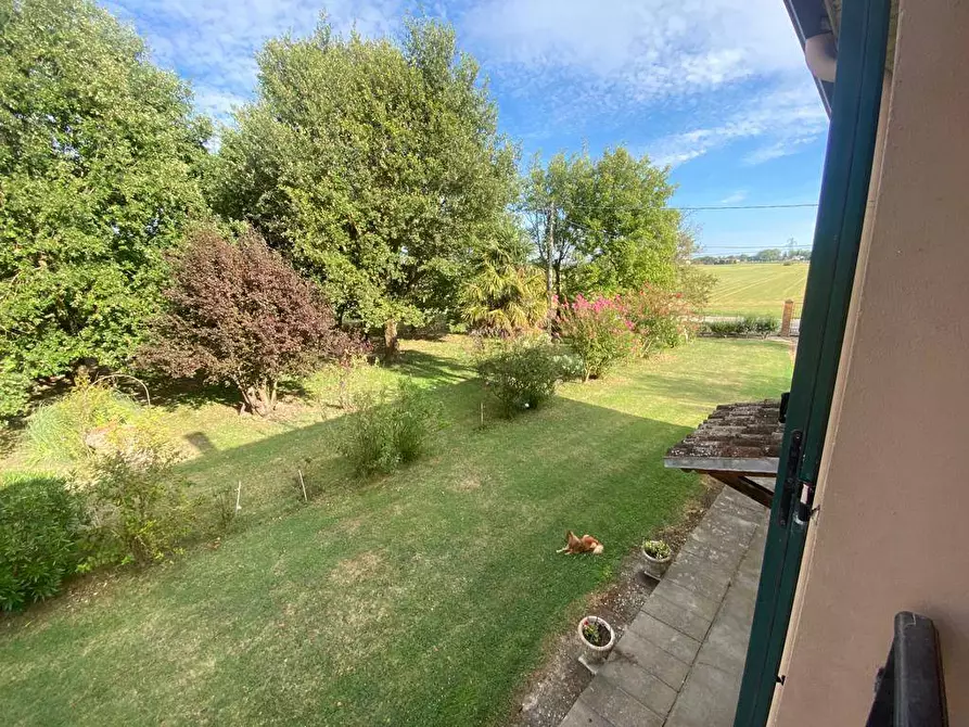 Immagine 3 di Villa in vendita  in via Gresolo 13 a Argenta