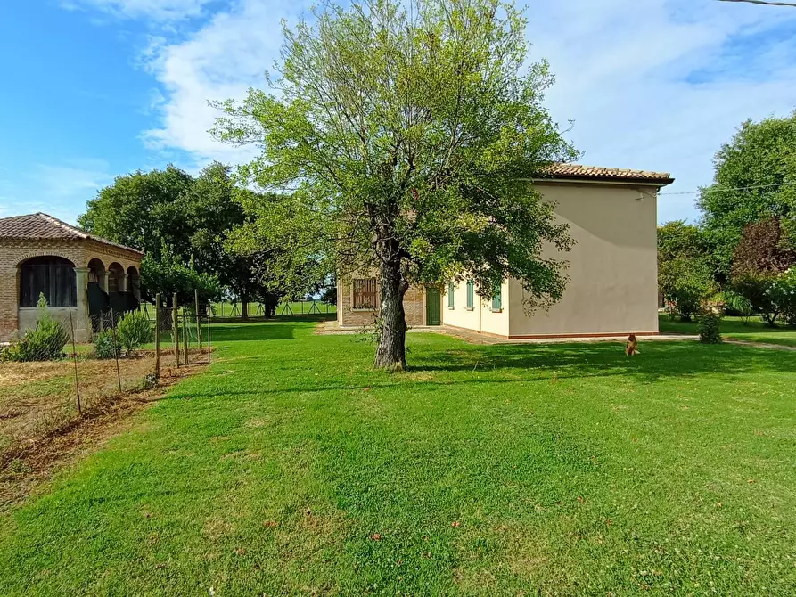 Immagine 4 di Villa in vendita  in via Gresolo 13 a Argenta