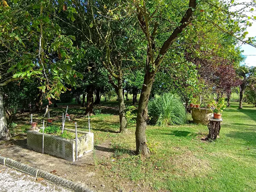 Immagine 24 di Villa in vendita  in via Gresolo 13 a Argenta