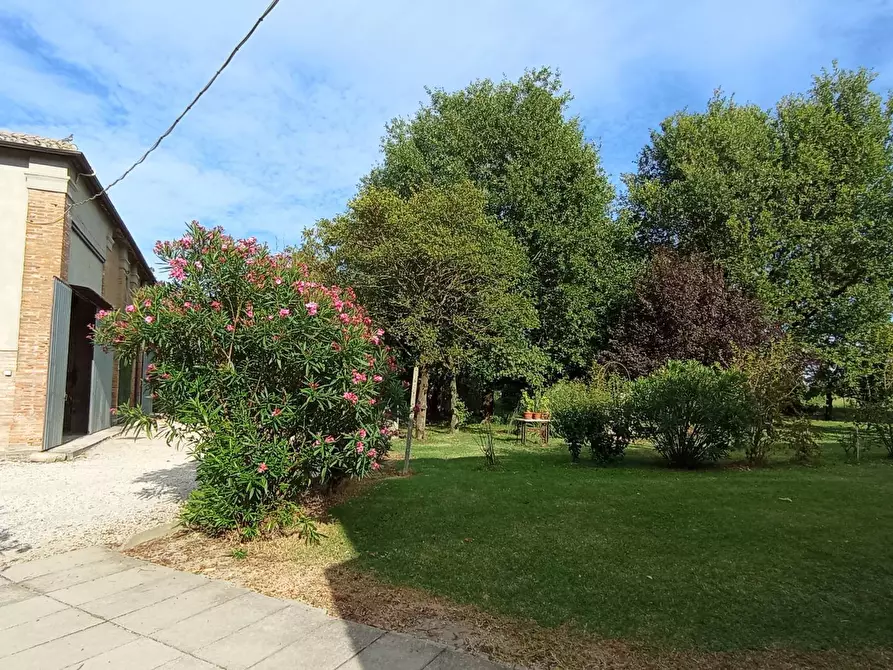 Immagine 20 di Villa in vendita  in via Gresolo 13 a Argenta