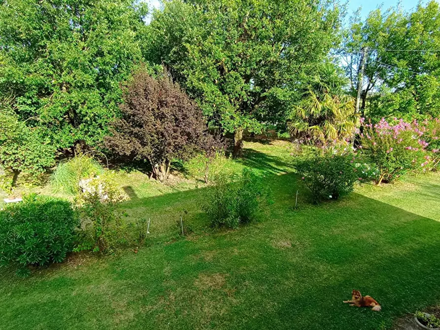 Immagine 25 di Villa in vendita  in via Gresolo 13 a Argenta