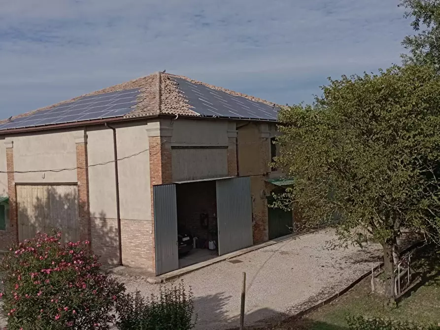 Immagine 19 di Villa in vendita  in via Gresolo 13 a Argenta