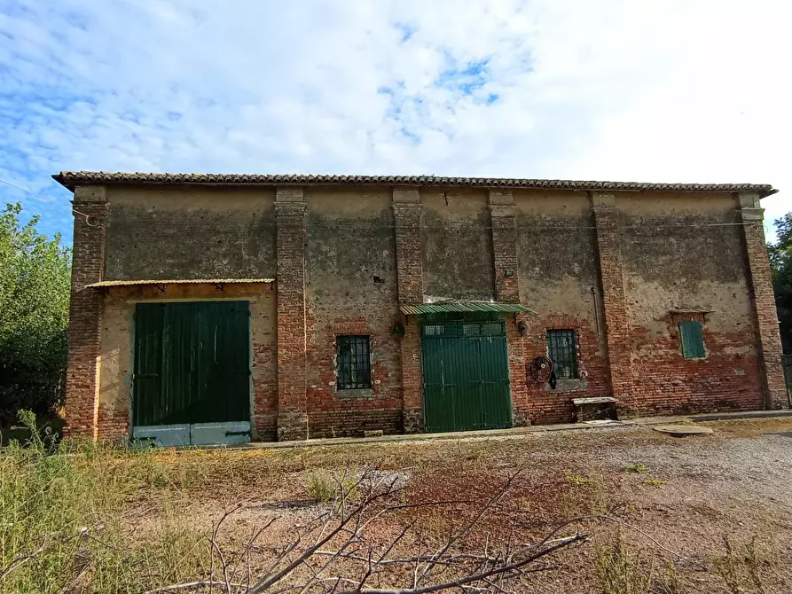 Immagine 21 di Villa in vendita  in via Gresolo 13 a Argenta