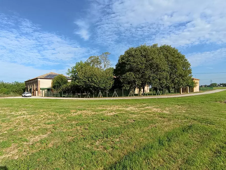 Immagine 26 di Villa in vendita  in via Gresolo 13 a Argenta