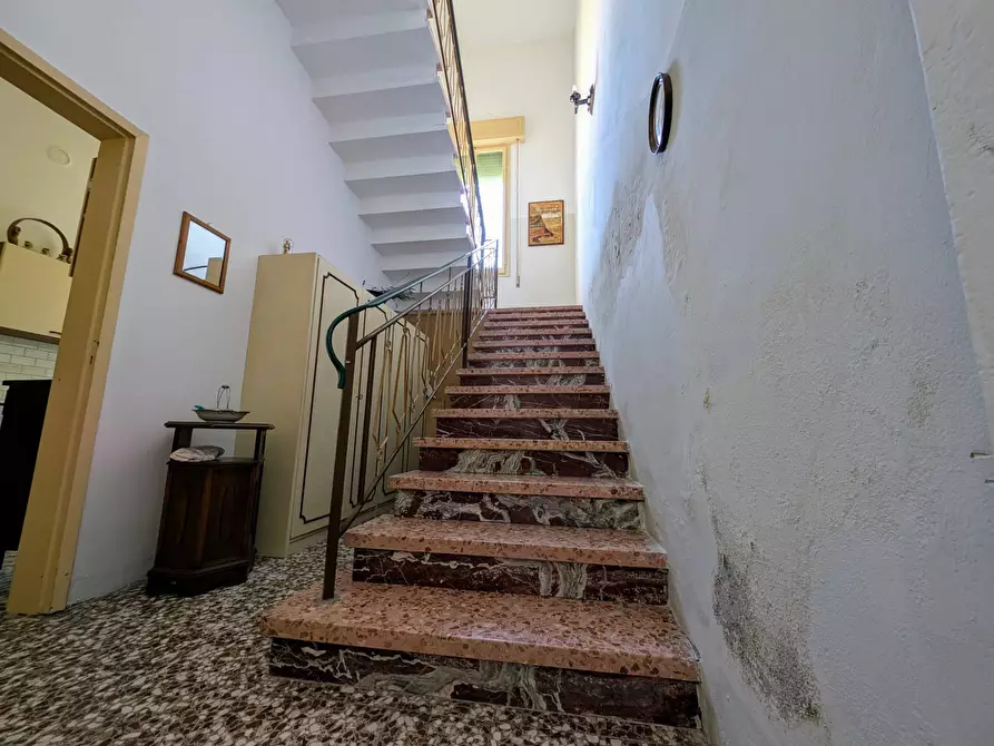 Immagine 14 di Villa in vendita  in via Ludovico Ariosto 90 a Masi Torello