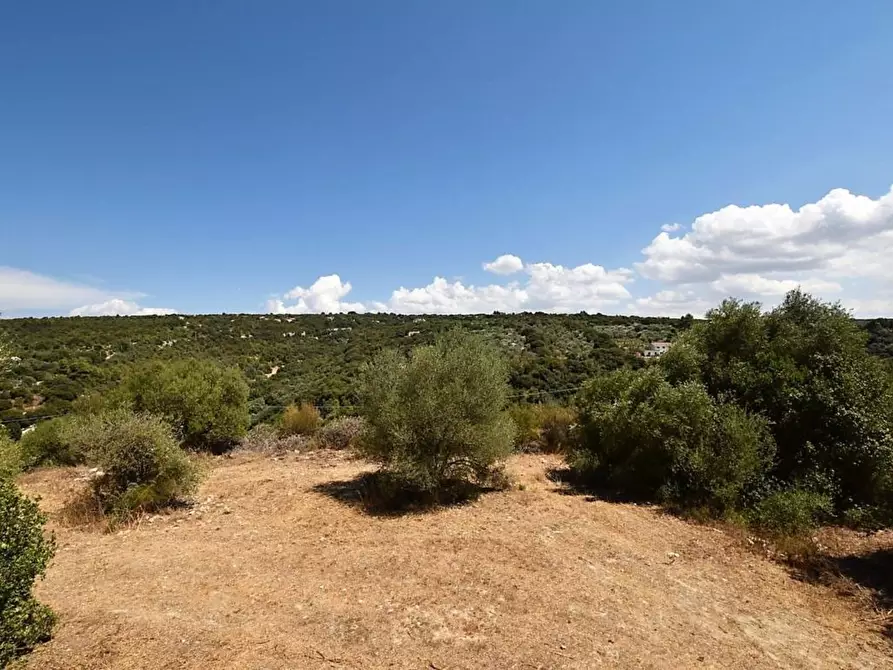 Immagine 30 di Villa in vendita  in Filigheddu a Sassari