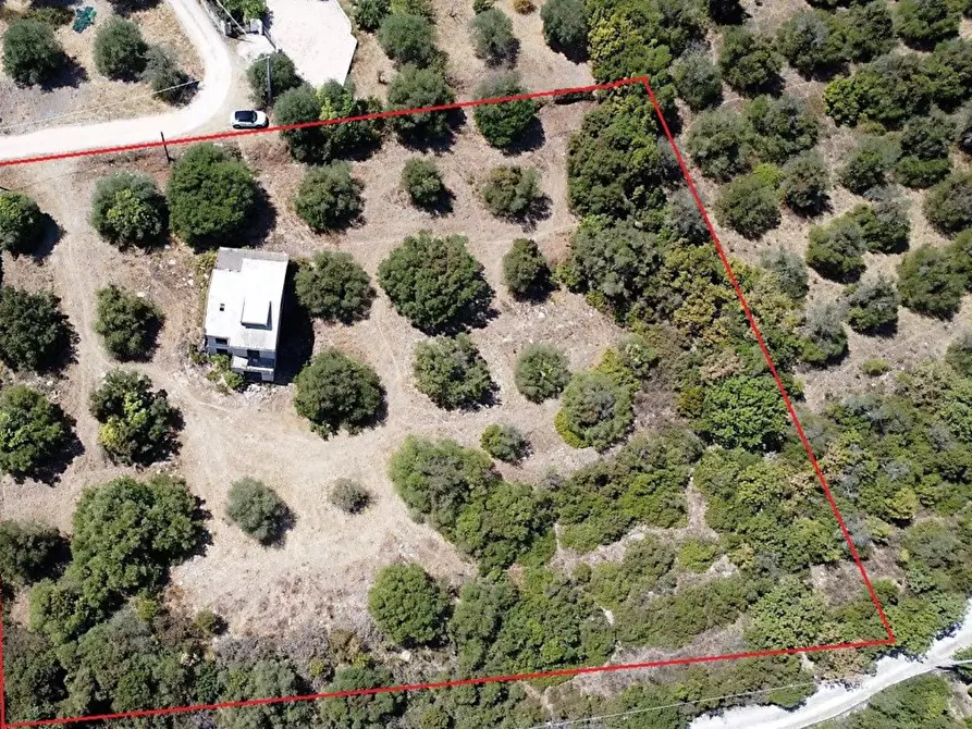 Immagine 42 di Villa in vendita  in Filigheddu a Sassari