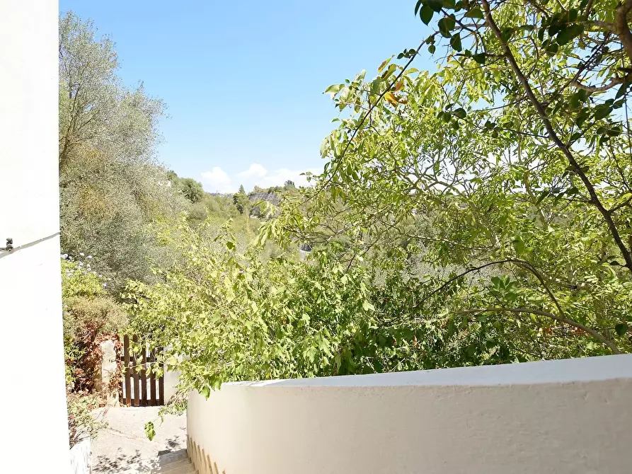 Immagine 26 di Villa in vendita  in Vicinale Piandanna Molafà 3 a Sassari