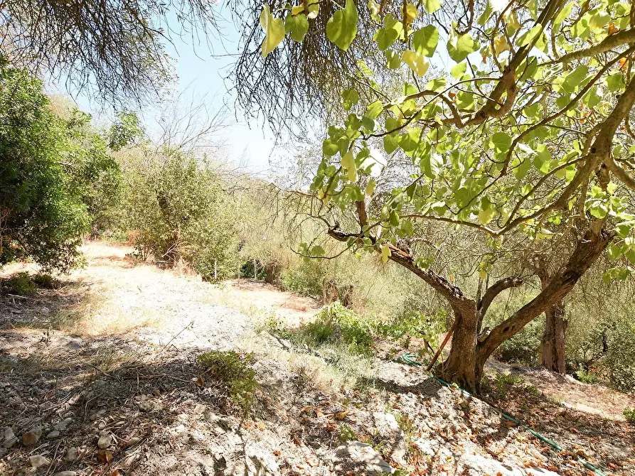 Immagine 29 di Villa in vendita  in Vicinale Piandanna Molafà 3 a Sassari