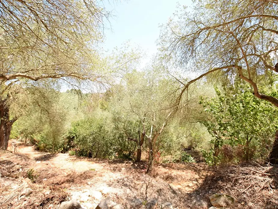 Immagine 30 di Villa in vendita  in Vicinale Piandanna Molafà 3 a Sassari