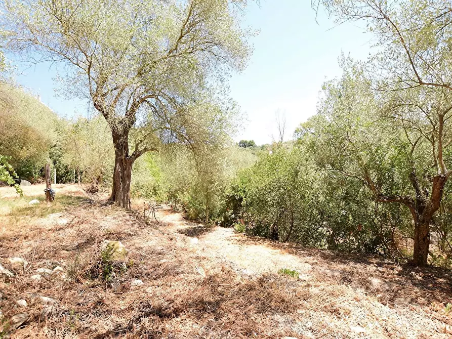 Immagine 31 di Villa in vendita  in Vicinale Piandanna Molafà 3 a Sassari