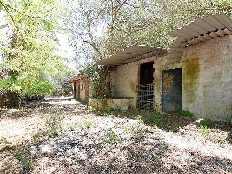 Immagine 32 di Villa in vendita  in Vicinale Piandanna Molafà 3 a Sassari