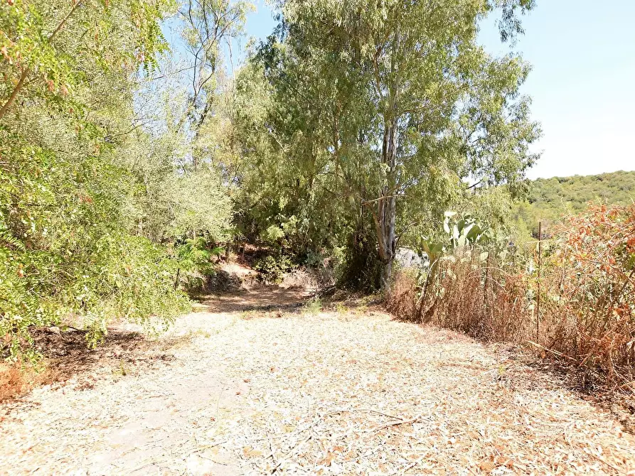 Immagine 33 di Villa in vendita  in Vicinale Piandanna Molafà 3 a Sassari