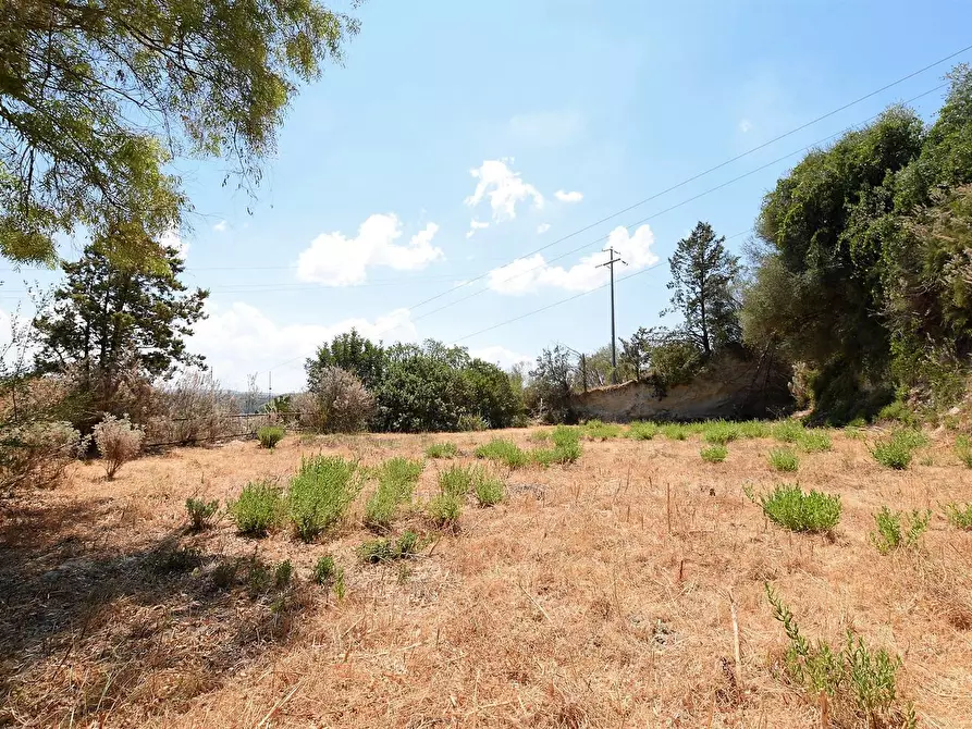 Immagine 34 di Villa in vendita  in Vicinale Piandanna Molafà 3 a Sassari