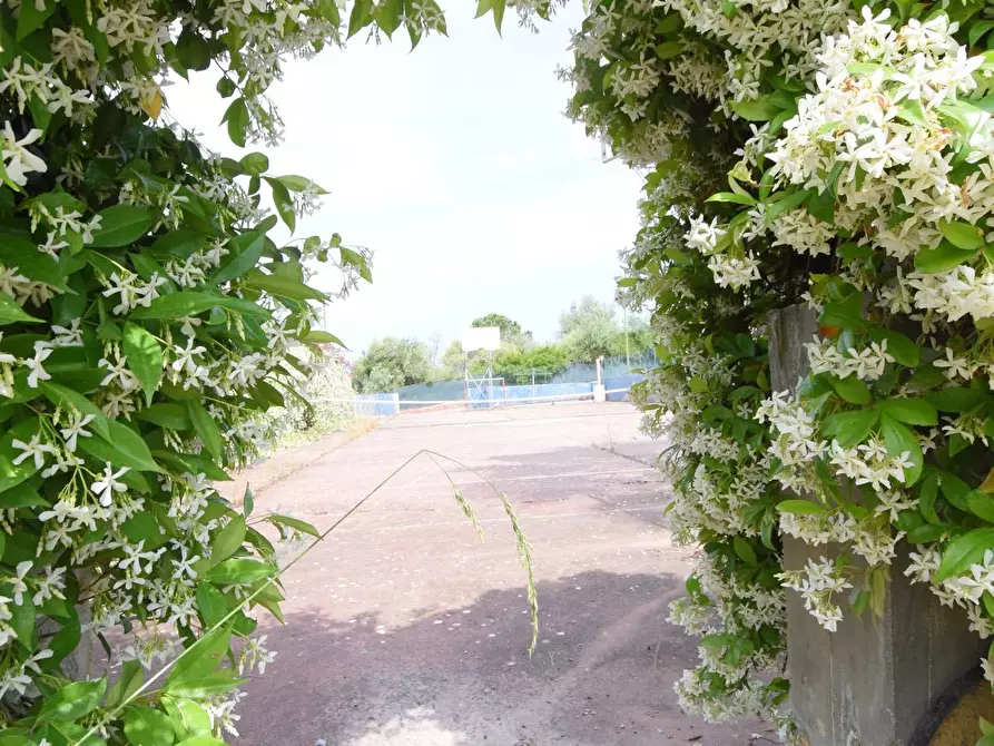 Immagine 59 di Villa in vendita  in SP 132 LA CRUCCA 43, a Sassari