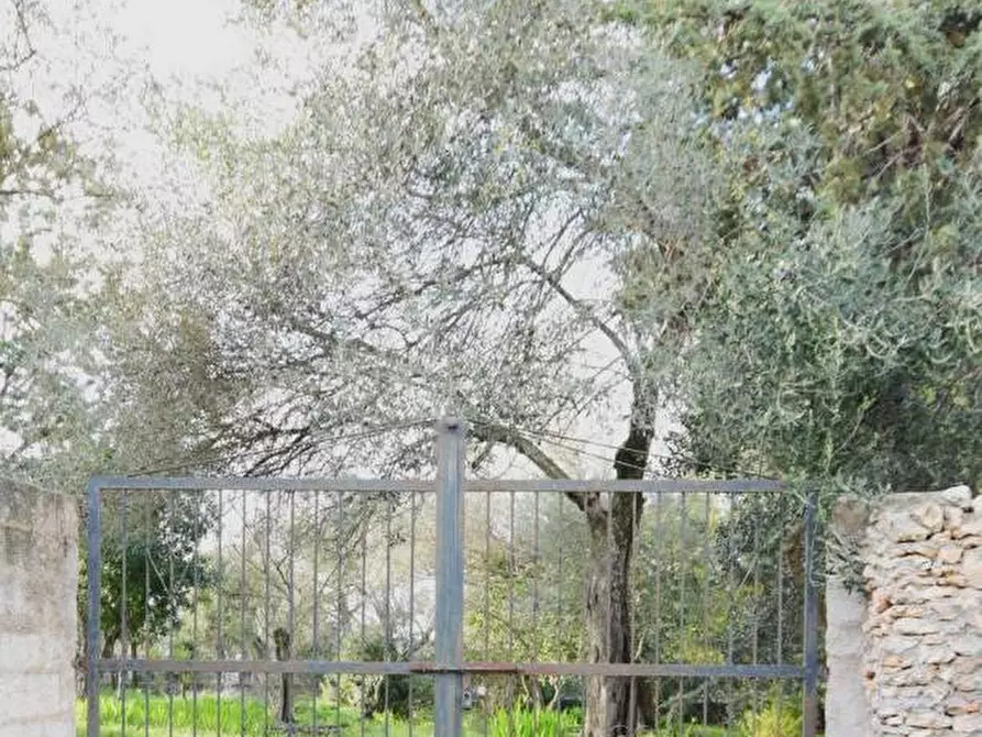 Immagine 1 di Terreno agricolo in vendita  in la landrigga a Sassari