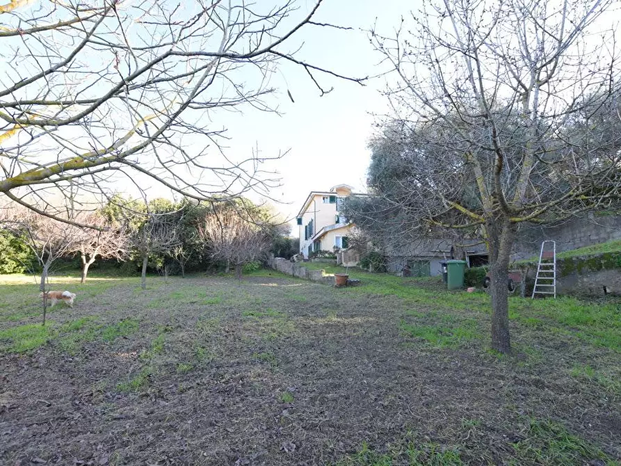 Immagine 37 di Villa in vendita  in Strada Vicinale Taniga Malafede 31 a Sassari